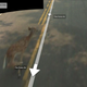 Illustration for article titled Google Maps Car Hits a Deer, Records Entire Ordeal on Google Maps